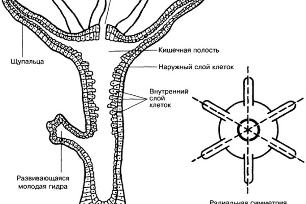 Кракен площадка что это