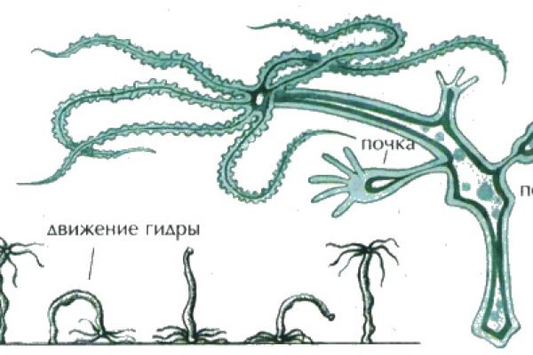 Настоящая ссылка на кракен