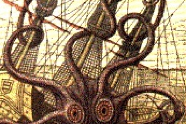 Kraken рабочий