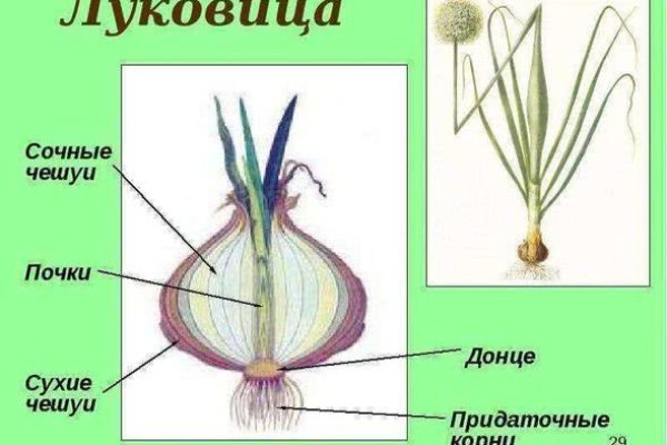Кракен ориг ссылка