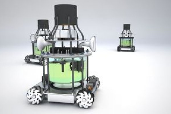 Kraken17at