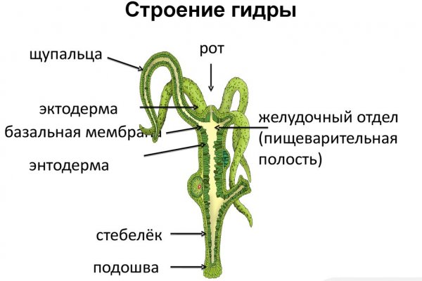 Как зайти на kraken маркетплейс