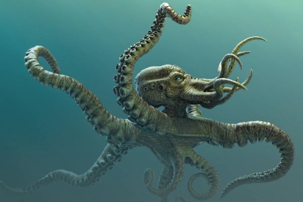 Kraken at17