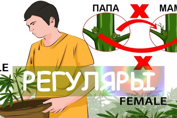 Кракен ссылка fo feng crmp ru