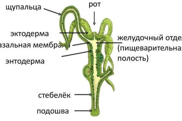 Кракен нарко