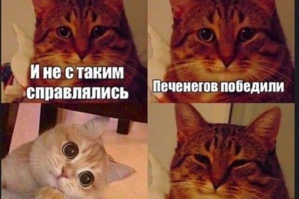Кракен сайт как выглядит
