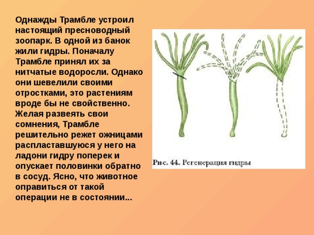 Ссылки на дарк нет