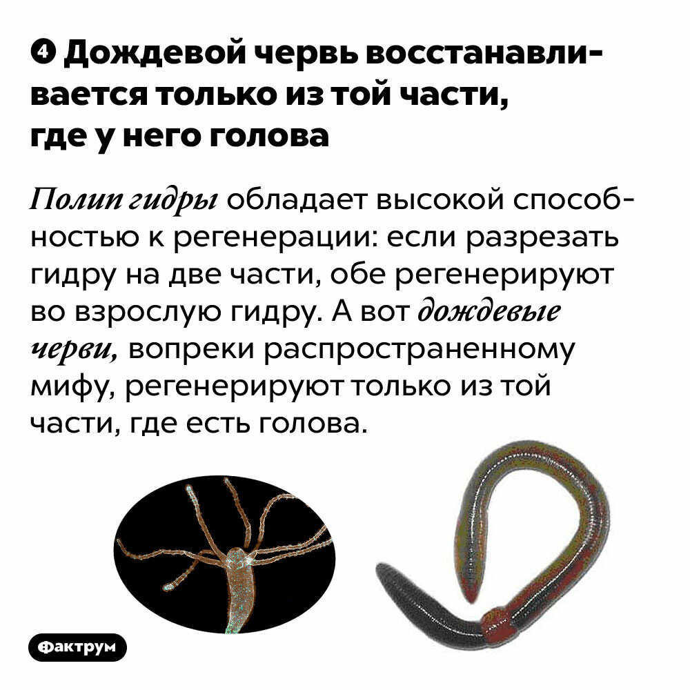 Kra35.at